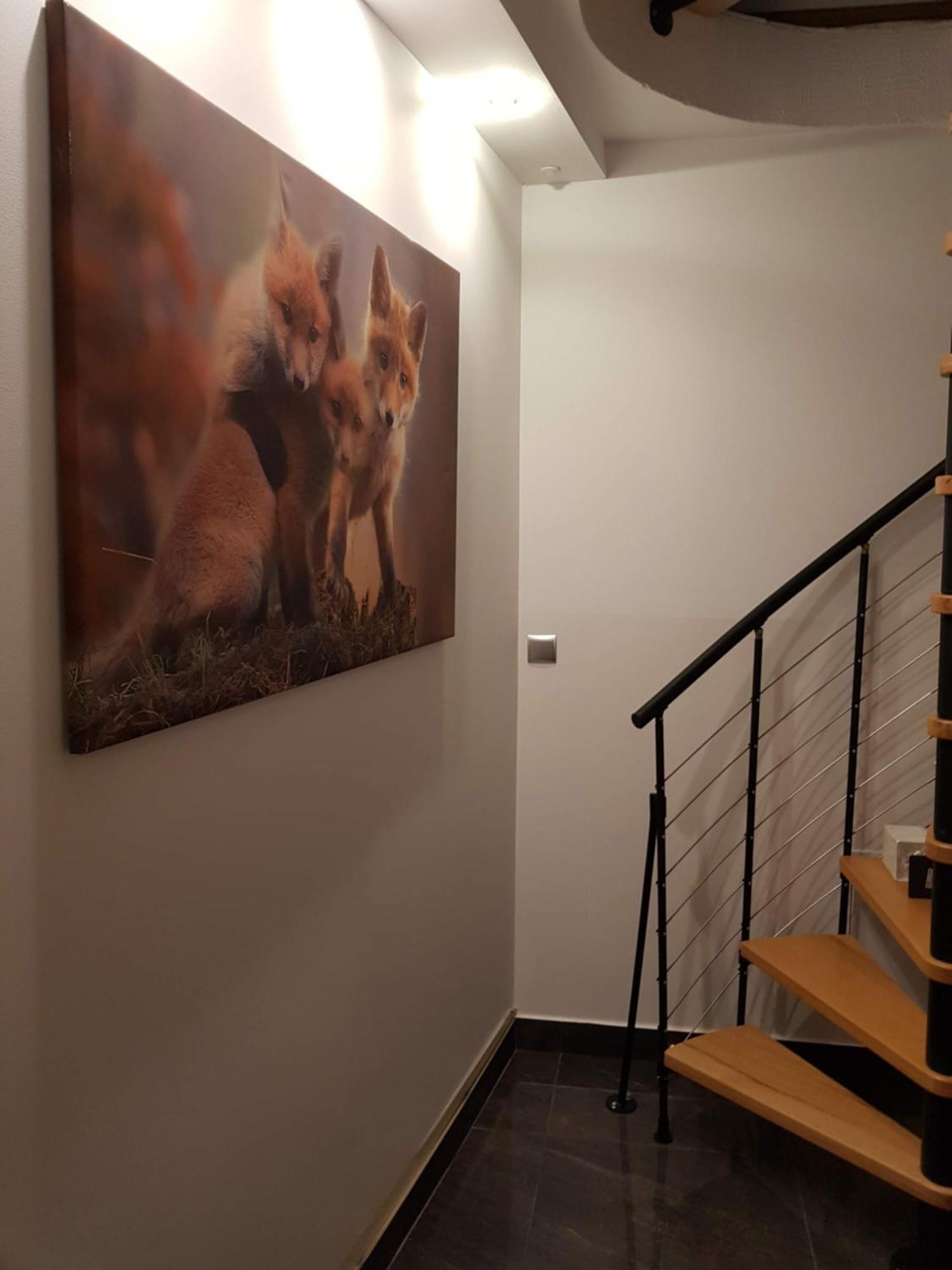 Apartamenty Magiczny Kacik Poronin Bagian luar foto