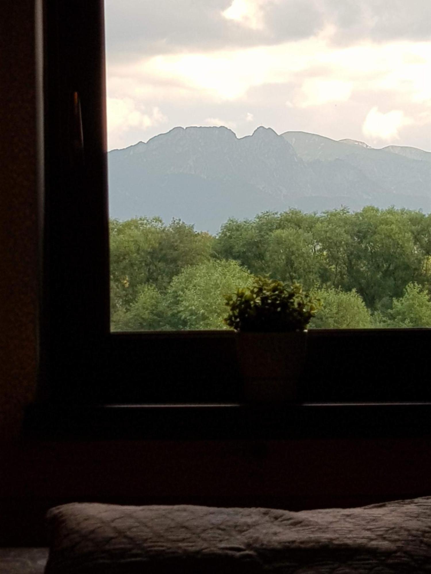 Apartamenty Magiczny Kacik Poronin Bagian luar foto